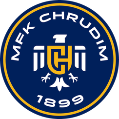 治鲁迪